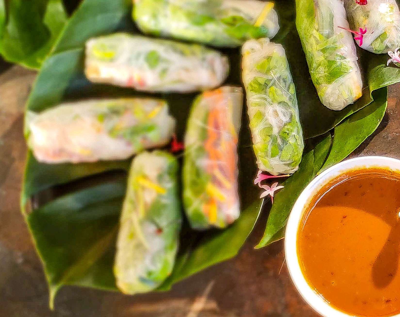 Exploring Customized Anti-Inflammatory Chicken Spring Rolls with Sunflower Seed Butter Dipping Sauce