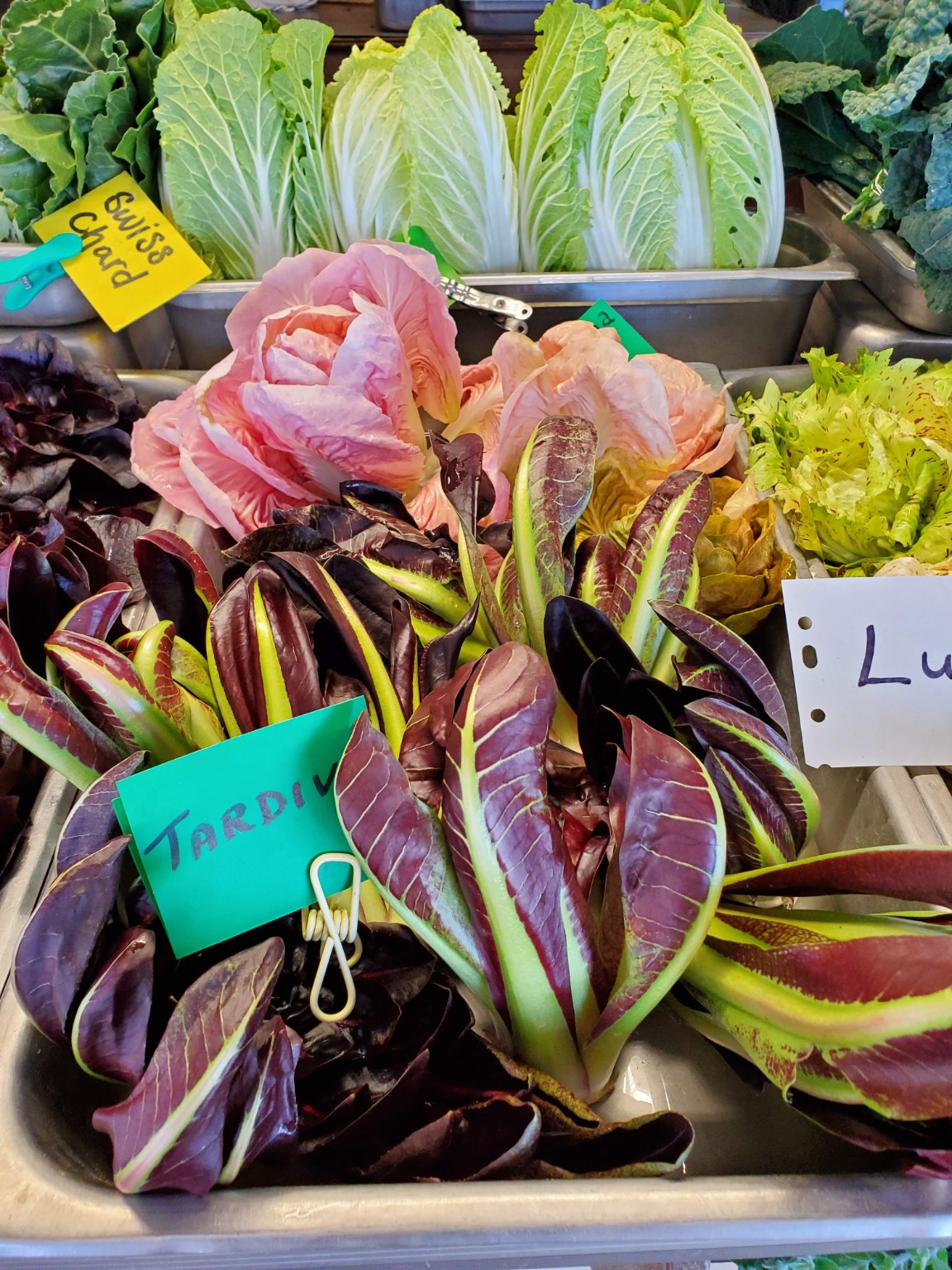 Colorful specialty lettuces and locally grown greens