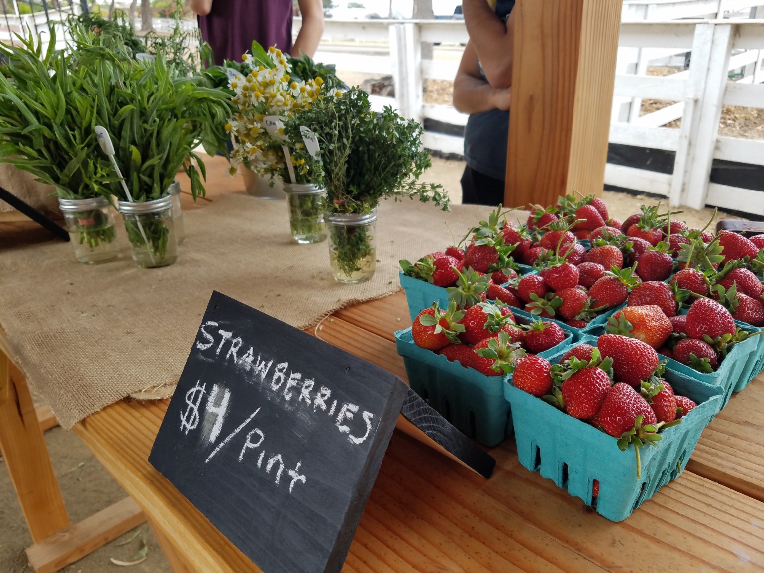 Fresh strawberries and herbs displayed at a local San Diego farm